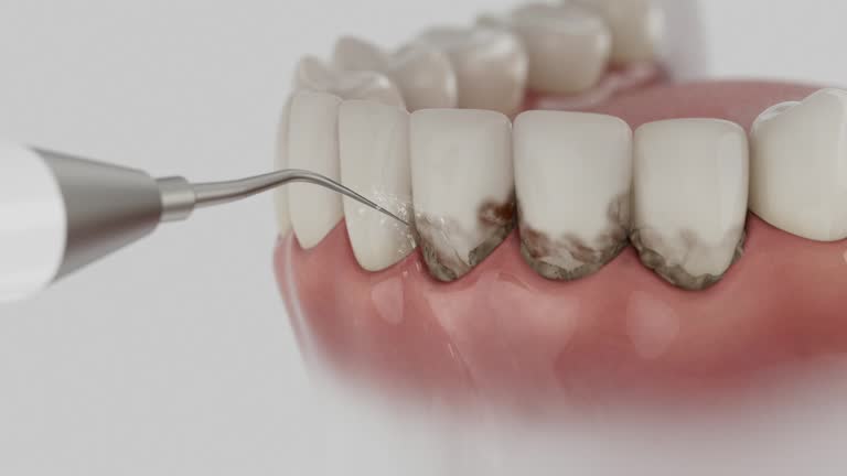 Reliable Dental contractor in Magnolia, AR by Dentist Open Now